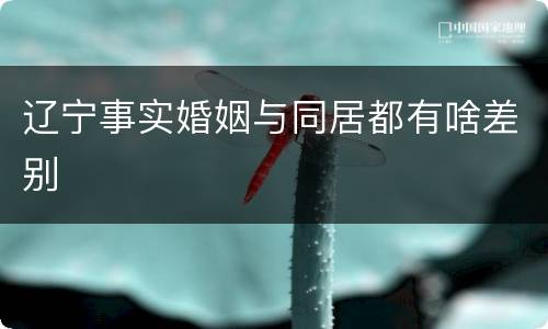 辽宁事实婚姻与同居都有啥差别
