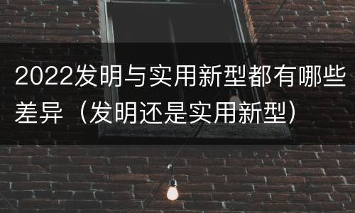 2022发明与实用新型都有哪些差异（发明还是实用新型）
