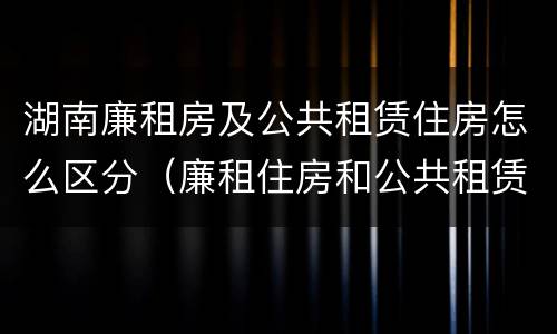 湖南廉租房及公共租赁住房怎么区分（廉租住房和公共租赁住房的区别）