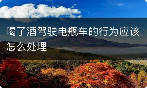 喝了酒驾驶电瓶车的行为应该怎么处理