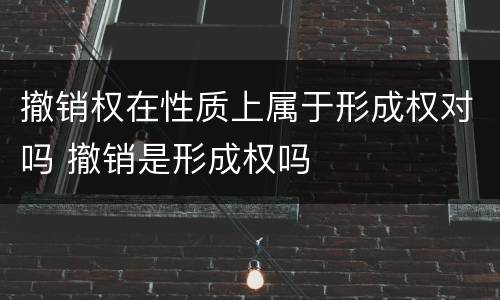 撤销权在性质上属于形成权对吗 撤销是形成权吗
