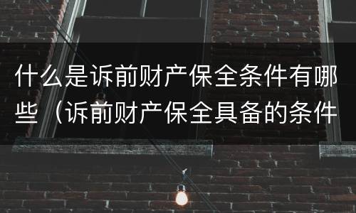 什么是诉前财产保全条件有哪些（诉前财产保全具备的条件）