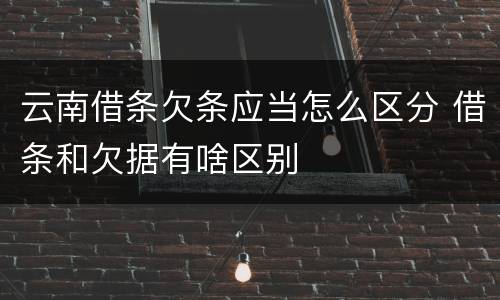 云南借条欠条应当怎么区分 借条和欠据有啥区别