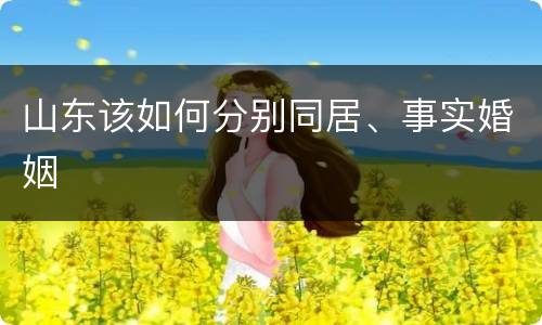山东该如何分别同居、事实婚姻