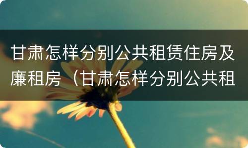 甘肃怎样分别公共租赁住房及廉租房（甘肃怎样分别公共租赁住房及廉租房呢）