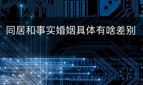 同居和事实婚姻具体有啥差别