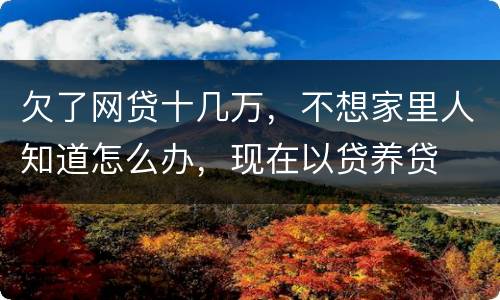 欠了网贷十几万，不想家里人知道怎么办，现在以贷养贷