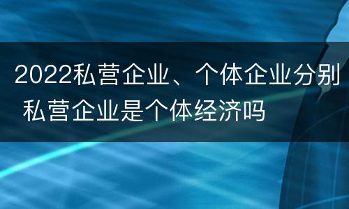 2022私营企业、个体企业分别 私营企业是个体经济吗