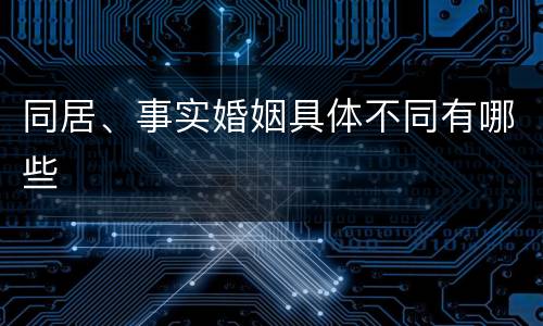 同居、事实婚姻具体不同有哪些