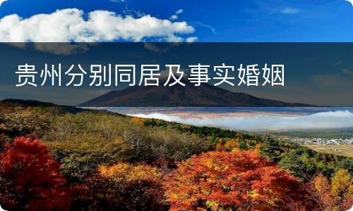 贵州分别同居及事实婚姻