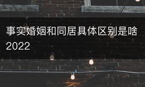 事实婚姻和同居具体区别是啥2022