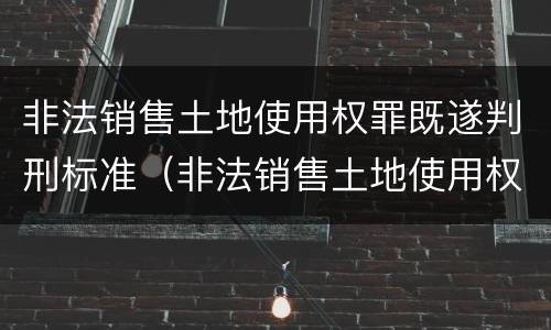 非法销售土地使用权罪既遂判刑标准（非法销售土地使用权罪既遂判刑标准是什么）