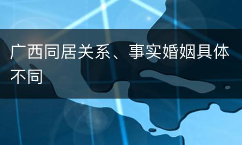 广西同居关系、事实婚姻具体不同