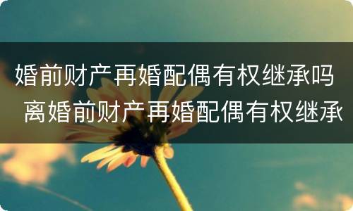 婚前财产再婚配偶有权继承吗 离婚前财产再婚配偶有权继承吗