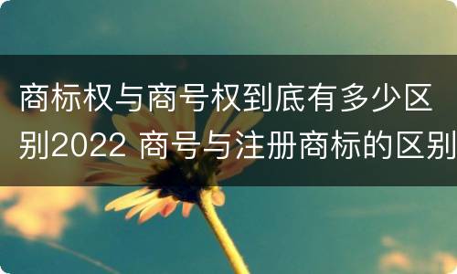 商标权与商号权到底有多少区别2022 商号与注册商标的区别