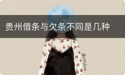 贵州借条与欠条不同是几种