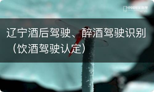 辽宁酒后驾驶、醉酒驾驶识别（饮酒驾驶认定）