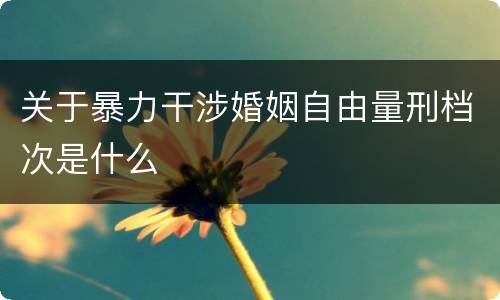 关于暴力干涉婚姻自由量刑档次是什么