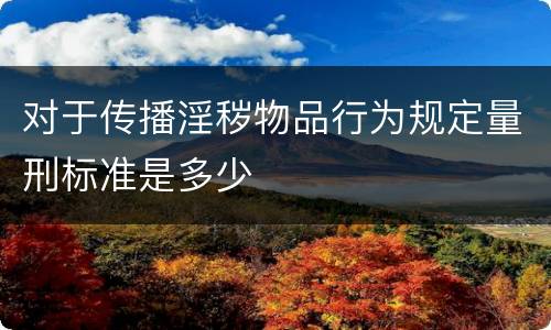 对于传播淫秽物品行为规定量刑标准是多少