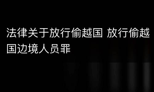 法律关于放行偷越国 放行偷越国边境人员罪