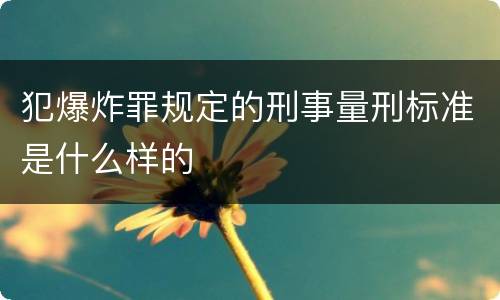 犯爆炸罪规定的刑事量刑标准是什么样的