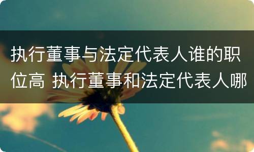 执行董事与法定代表人谁的职位高 执行董事和法定代表人哪个大