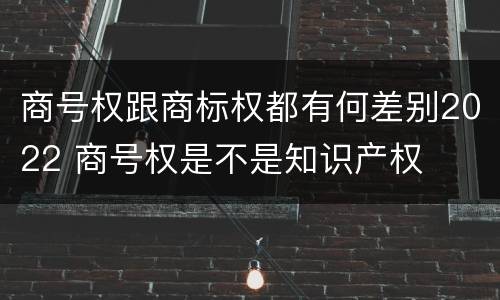 商号权跟商标权都有何差别2022 商号权是不是知识产权