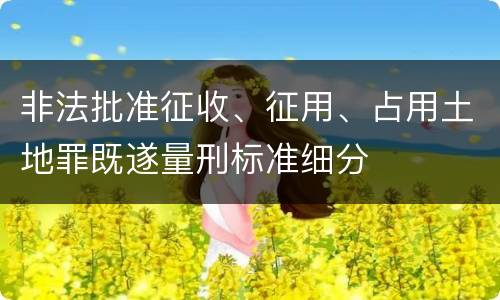 非法批准征收、征用、占用土地罪既遂量刑标准细分