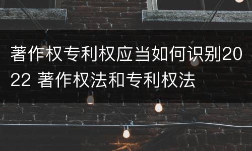 著作权专利权应当如何识别2022 著作权法和专利权法