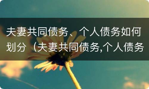夫妻共同债务、个人债务如何划分（夫妻共同债务,个人债务如何划分责任）