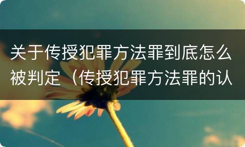 关于传授犯罪方法罪到底怎么被判定（传授犯罪方法罪的认定）