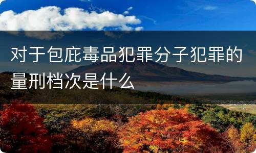 对于包庇毒品犯罪分子犯罪的量刑档次是什么