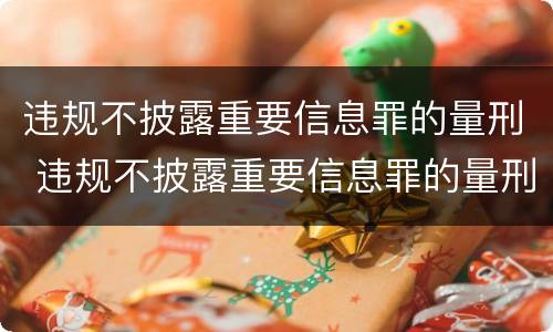 违规不披露重要信息罪的量刑 违规不披露重要信息罪的量刑依据