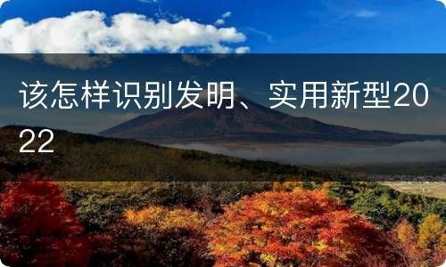 该怎样识别发明、实用新型2022