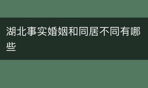 湖北事实婚姻和同居不同有哪些