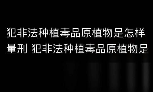 犯非法种植毒品原植物是怎样量刑 犯非法种植毒品原植物是怎样量刑的