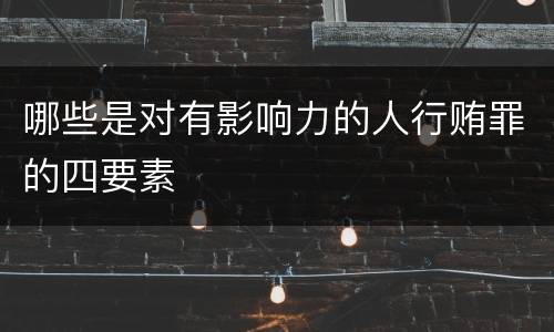 哪些是对有影响力的人行贿罪的四要素