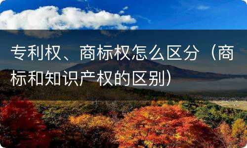 专利权、商标权怎么区分（商标和知识产权的区别）