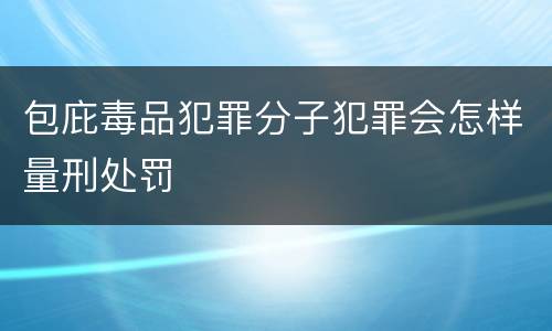 包庇毒品犯罪分子犯罪会怎样量刑处罚