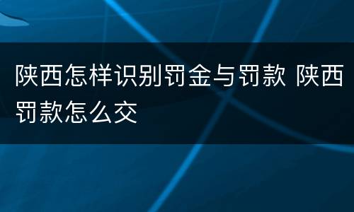 陕西怎样识别罚金与罚款 陕西罚款怎么交