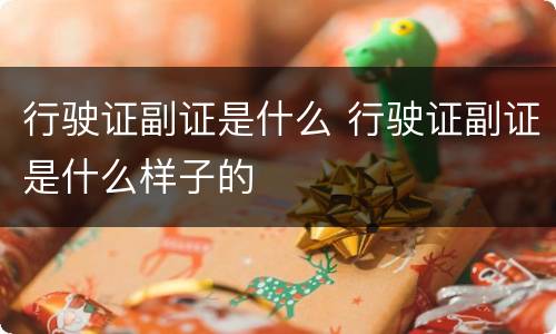 行驶证副证是什么 行驶证副证是什么样子的