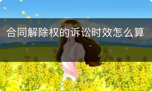 合同解除权的诉讼时效怎么算