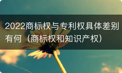 2022商标权与专利权具体差别有何（商标权和知识产权）