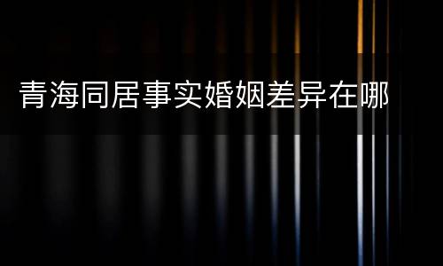 青海同居事实婚姻差异在哪