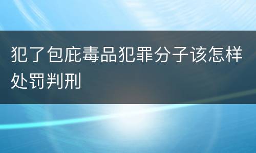犯了包庇毒品犯罪分子该怎样处罚判刑