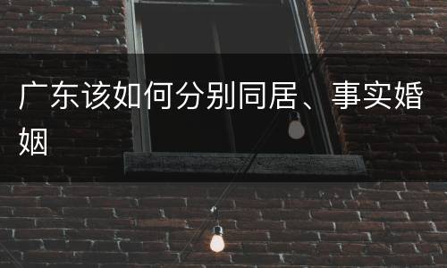 广东该如何分别同居、事实婚姻