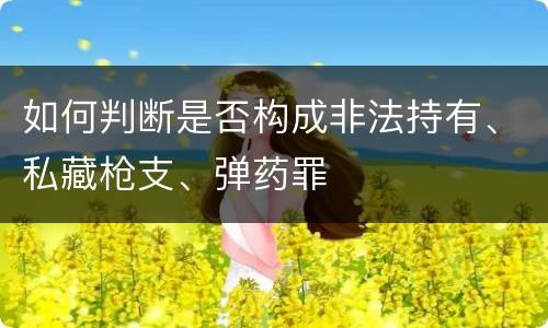 如何判断是否构成非法持有、私藏枪支、弹药罪