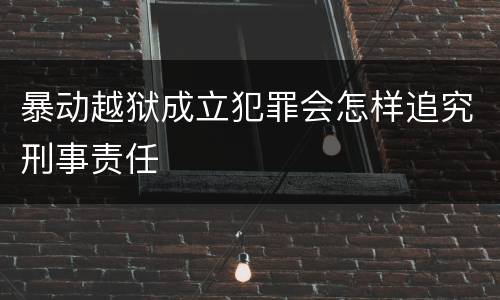 暴动越狱成立犯罪会怎样追究刑事责任