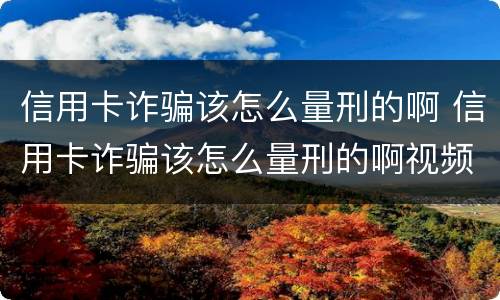 信用卡诈骗该怎么量刑的啊 信用卡诈骗该怎么量刑的啊视频
