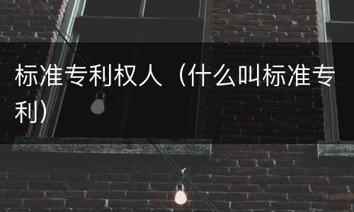 标准专利权人（什么叫标准专利）